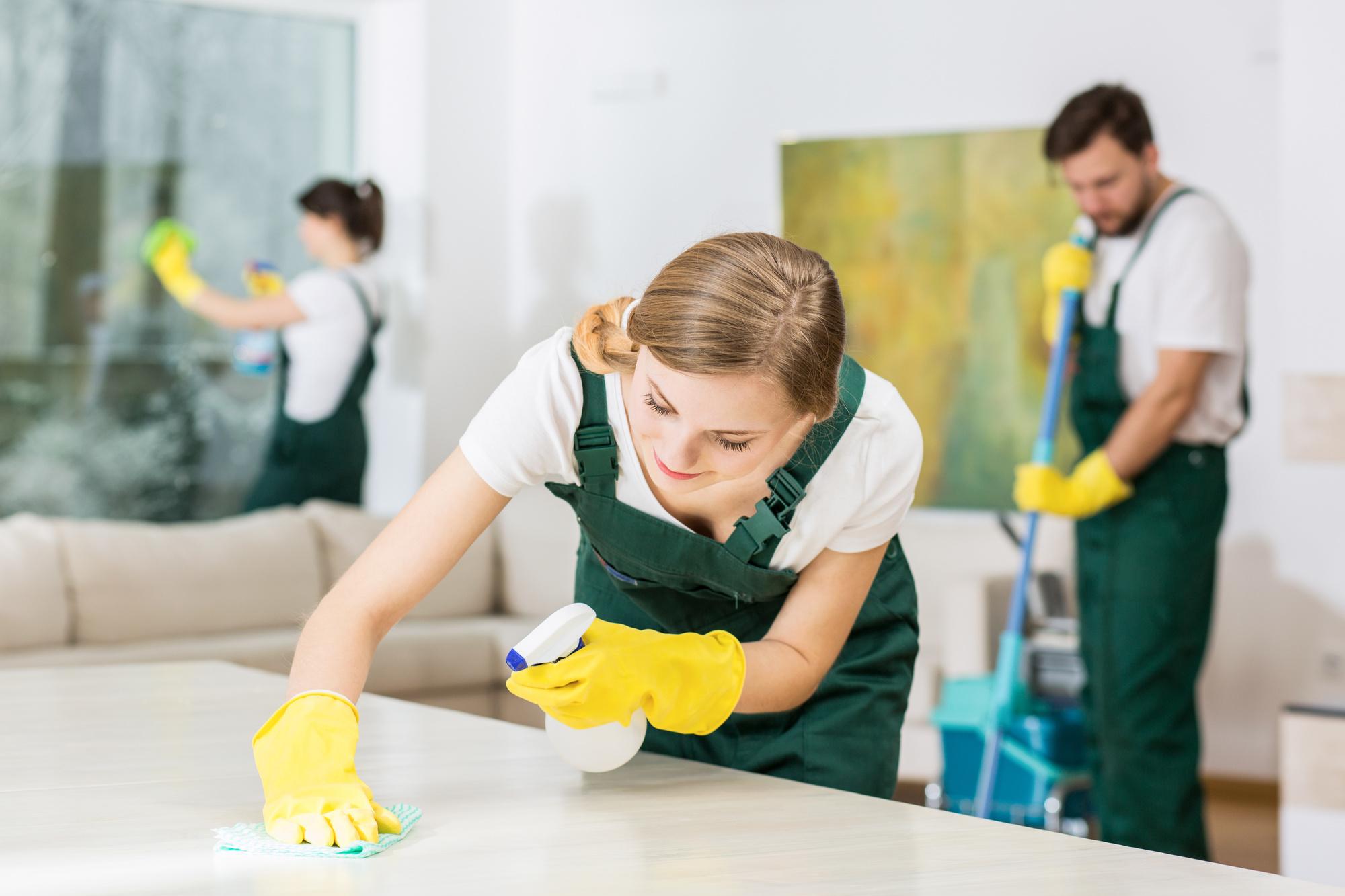 Loob services-(Unique mobile cleaning service)