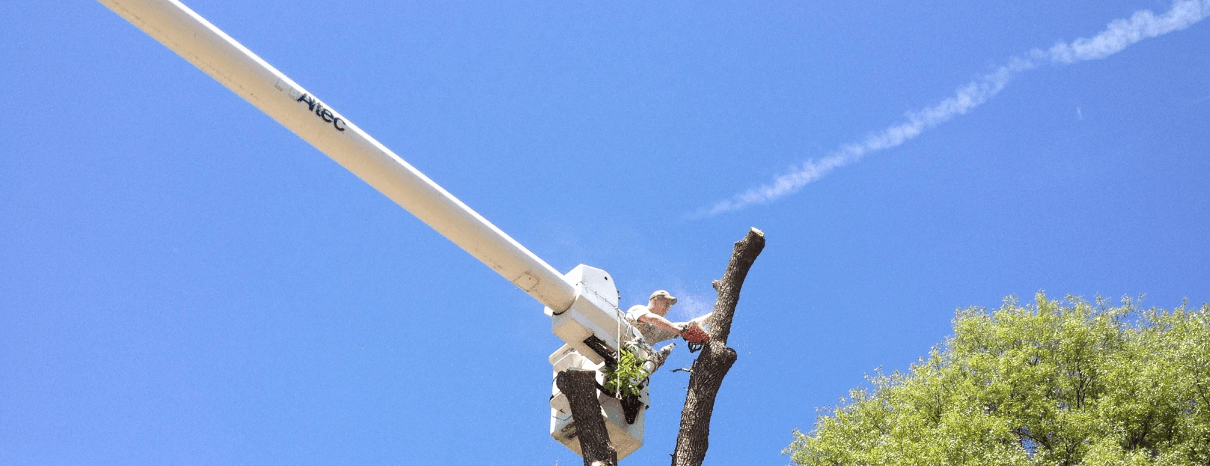 Casteel Tree Service