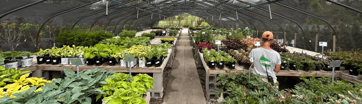 Landmark Nursery & Landscaping