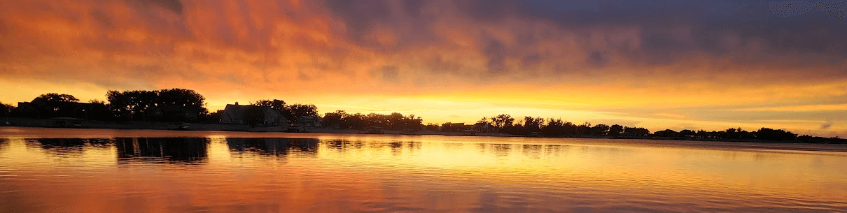 Prodigy Tree Service