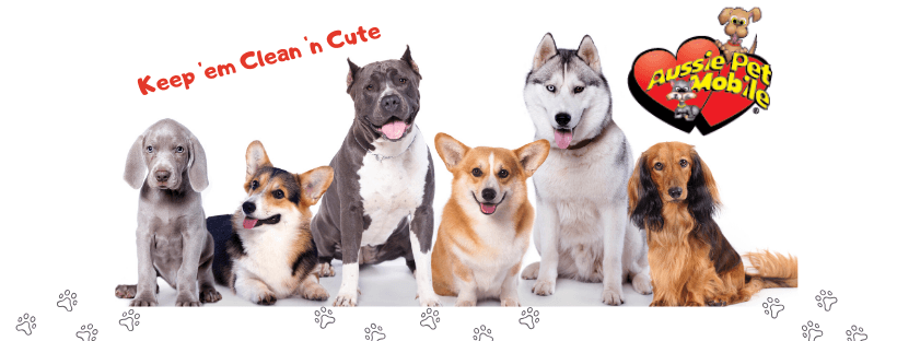 Aussie Pet Mobile