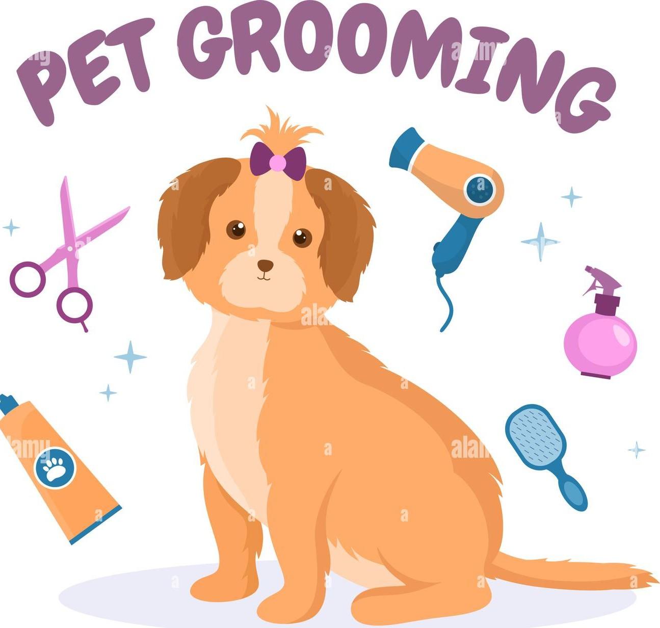 Hollywoof Pet Grooming And Care