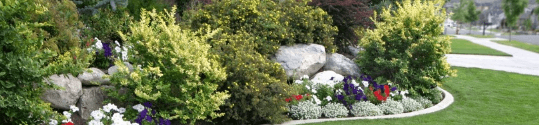 The Boston Landscaping Company