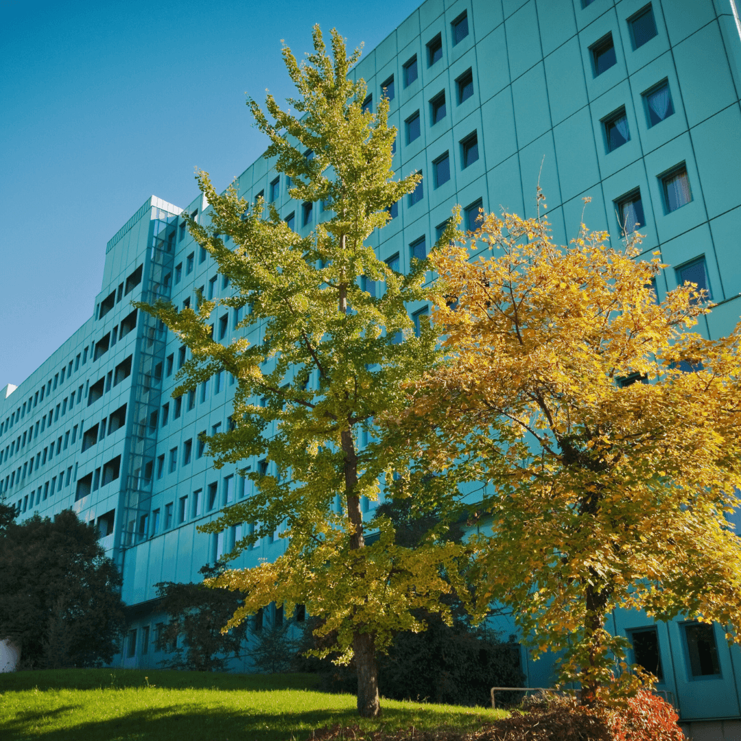 Affinity Hospice LLC