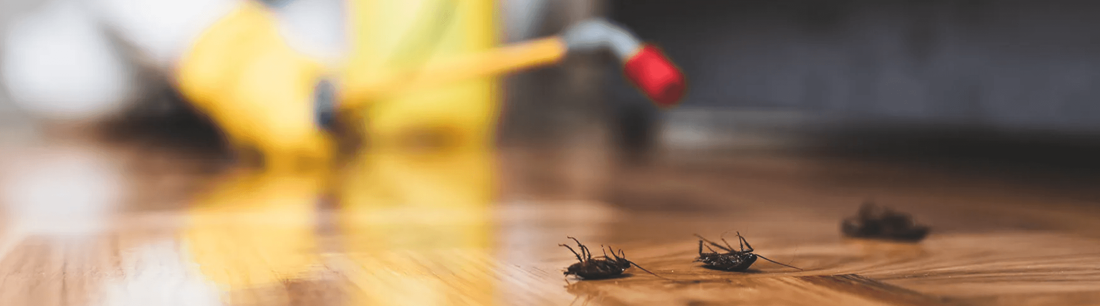 A-1 Total Pest Control