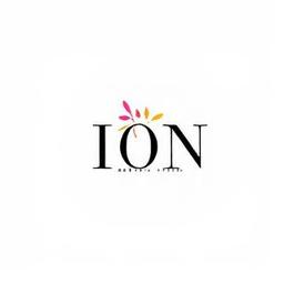 ION RETAIL STORE AND LB ARTISAN