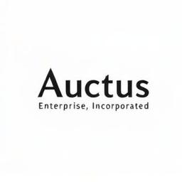 Auctus Enterprise Incorporated