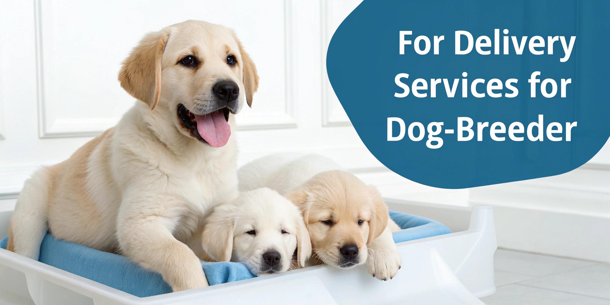 Simpson’s Dixie Dogs