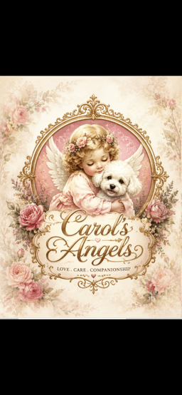 Carol's Angels